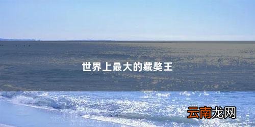世界上最大的藏獒王图片 世界上最大的藏獒王