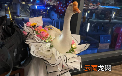 大鹅花束怎么包-花里放鹅是什么意思