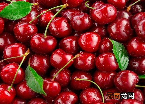 车厘子怎么保存时间长 车厘子怎么保存好