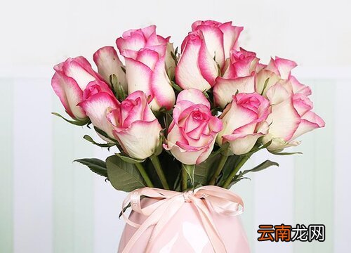 玫瑰花怎么醒花