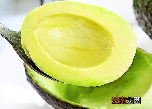 鳄梨怎么看熟没熟 鳄梨怎么看熟不熟