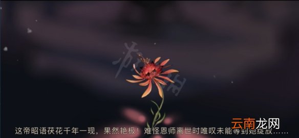 太吾绘卷完美开局怎么玩-完美开局玩法介绍