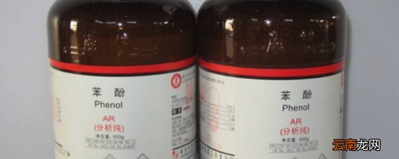 苯酚有毒吗