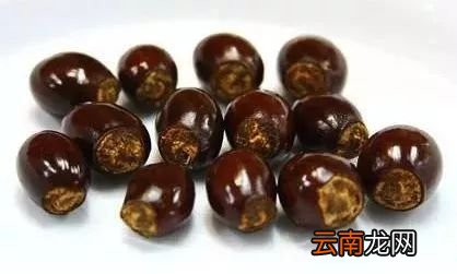 这几种水果籽儿泡水里,一周就发芽生根,,10天长成小盆栽！