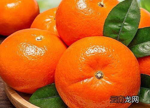 跟橘子很像的水果叫什么 跟橘子很像的水果