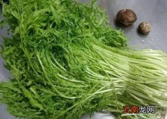 银丝芥菜又叫什么菜 银丝芥菜又叫什么菜