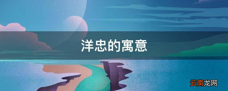 洋忠的寓意
