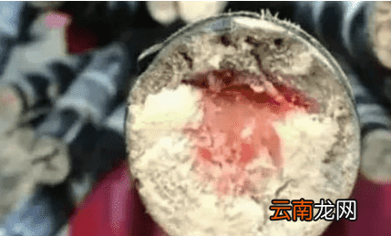 冬季吃甘蔗有什么好处 它被称为冬季人参这样吃效果最好
