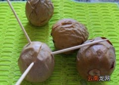 牛油果种子可以吃吗 牛油果种子能吃么