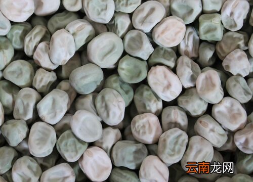 豌豆种子可以吃吗 豌豆种子不种了能吃吗