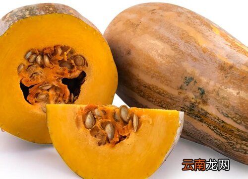 狗可以吃南瓜吗