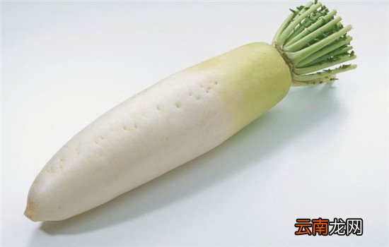 冬天吃萝卜有啥好处 冬天吃萝卜赛过吃补药