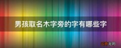 男孩取名木字旁的字有哪些字
