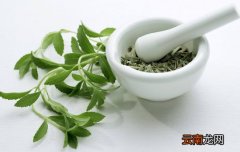 马齿苋敷脸有何功效 轻松赶走扁平疣和痘痘