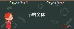 p站全称