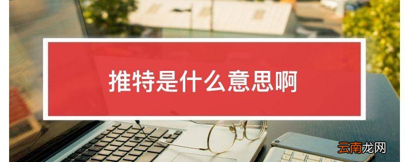 推特是什么意思啊