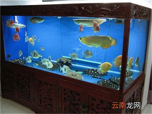 鱼缸换水器怎么用