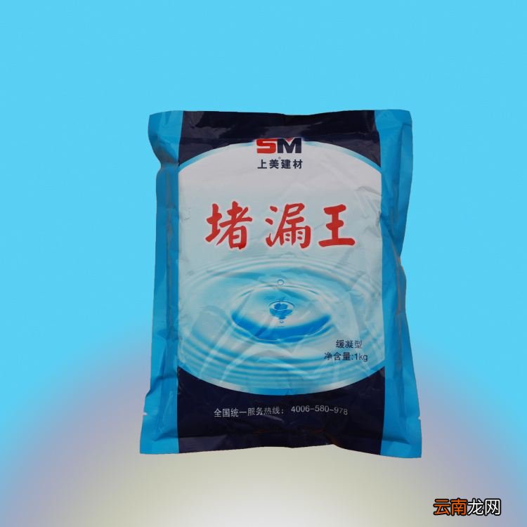 堵漏王防漏能管多少年