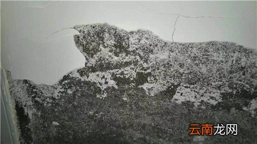 墙体返碱掉皮怎么处理