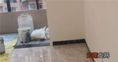乳胶漆弄地板上怎么弄干净