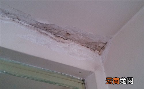 房子漏水找不到漏水点怎么办