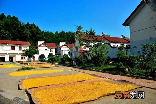 无证盖的房子能确权吗