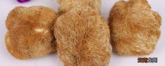 猴头菇怎么泡发才不苦
