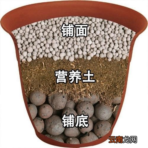 卫生间陶粒回填的弊端有哪些