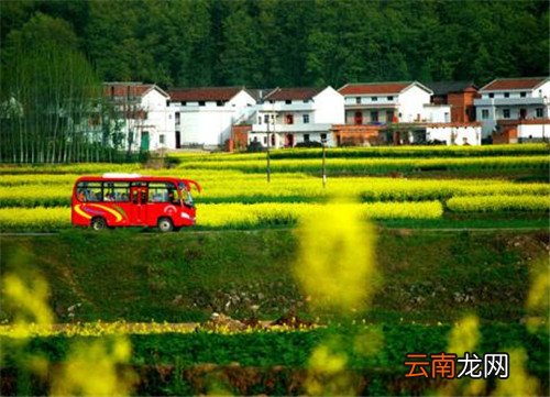 村里没有宅基地怎么办