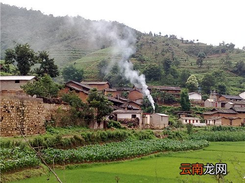 村里没有宅基地怎么办