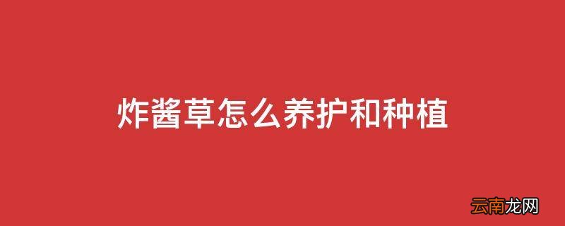 炸酱草怎么养护和种植