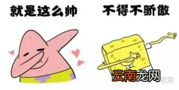方便好用的威克士WE212测评 充电钻哪个品牌耐用