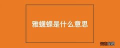 雅蠛蝶是什么意思