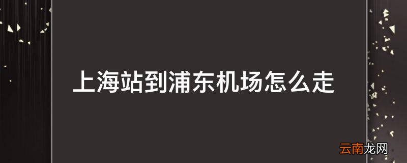 上海站到浦东机场怎么走