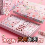 圣诞礼物送给中学生什么