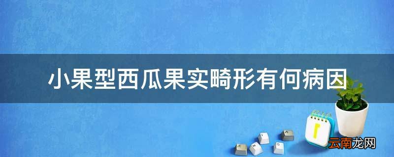 小果型西瓜果实畸形有何病因