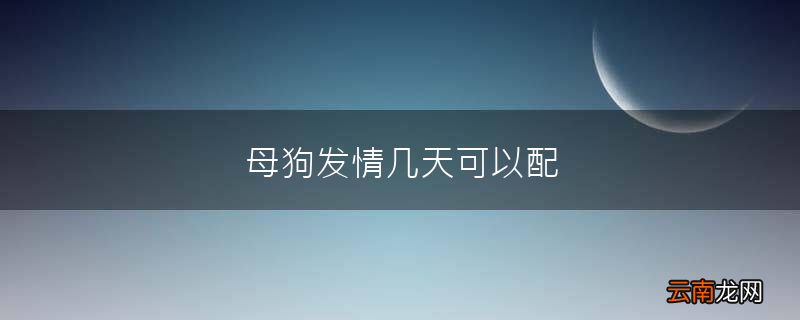 母狗发情几天可以配