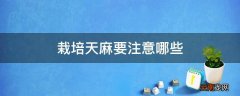 栽培天麻要注意哪些