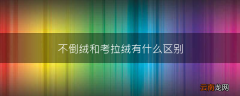 不倒绒和考拉绒有什么区别