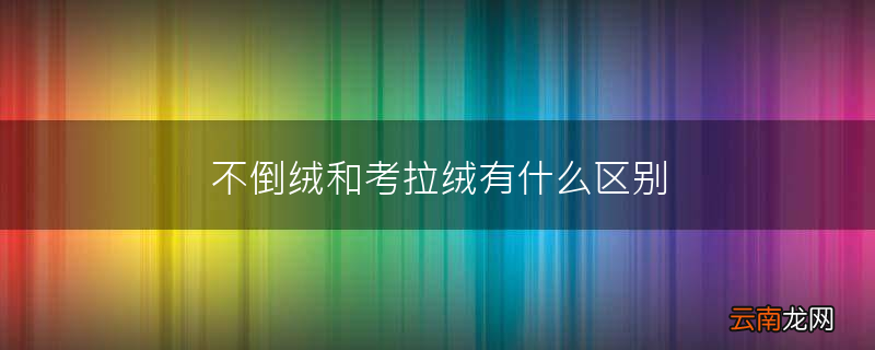 不倒绒和考拉绒有什么区别