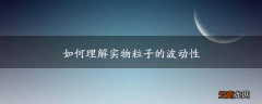 如何理解实物粒子的波动性
