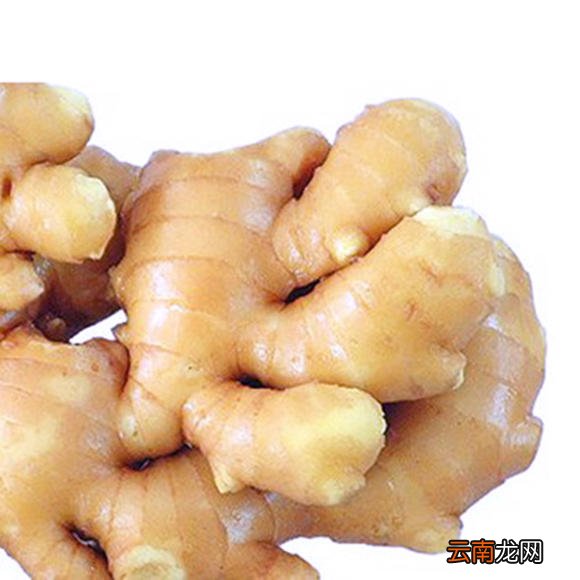 生姜是酸性还是碱性的