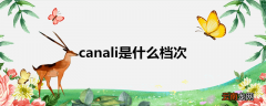 canali是什么档次