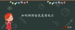 如何辨别仓鼠是否死亡