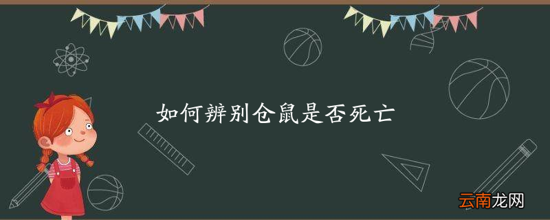 如何辨别仓鼠是否死亡