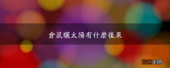 仓鼠晒太阳有什么后果