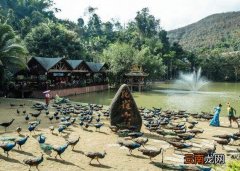 西双版纳旅游攻略及花费