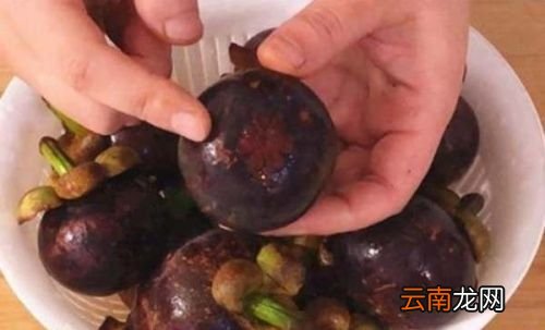 怎样看山竹的好坏
