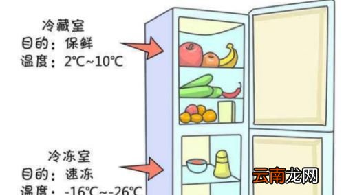 香蕉吃不完一定要放冰箱里吗