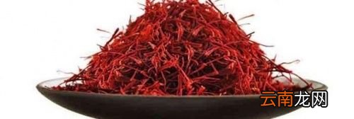 藏红花一次泡几根,可以经常喝吗